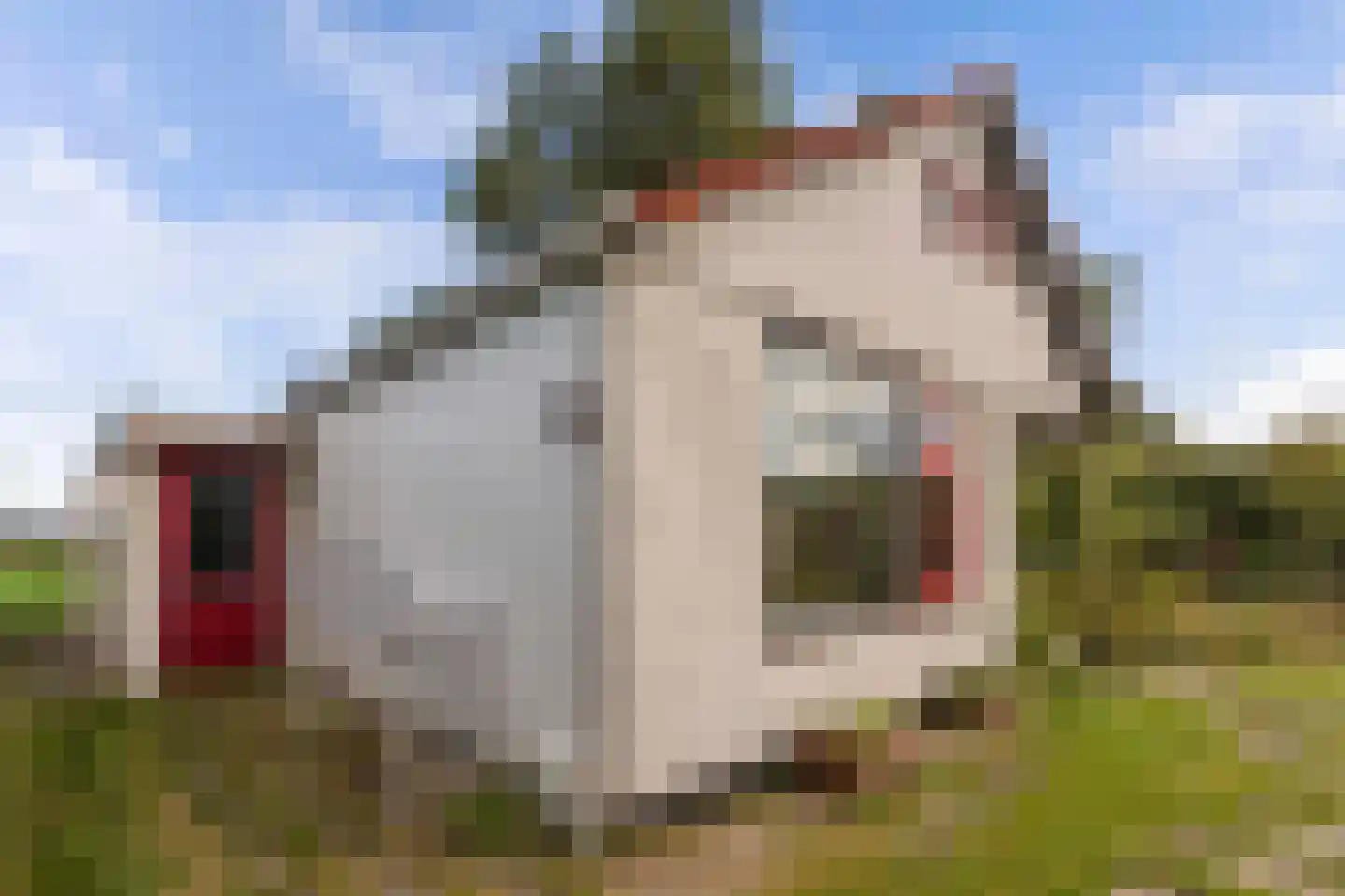 De Vriehof 6 Rohel thumbnail 31