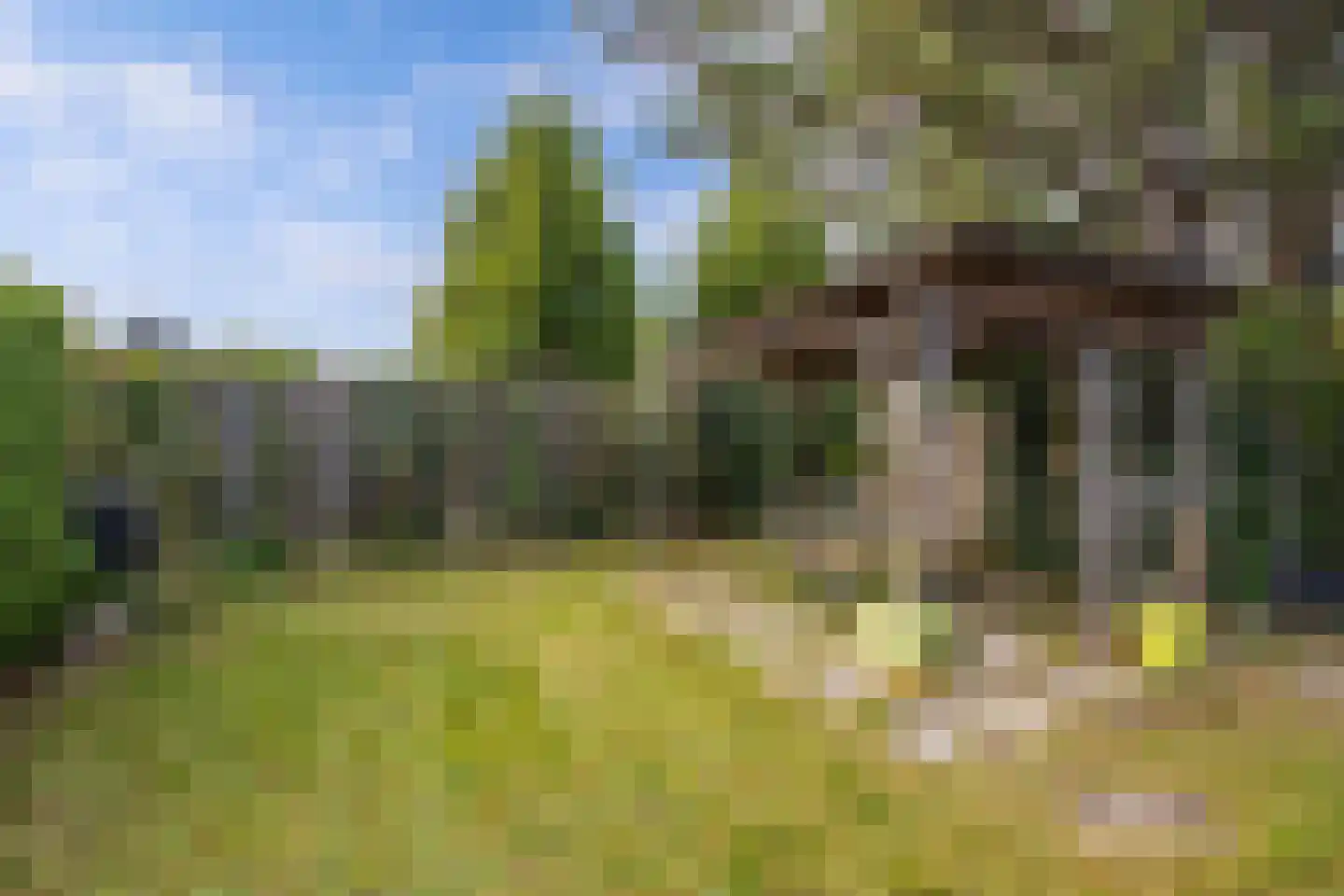 De Vriehof 6 Rohel thumbnail 32