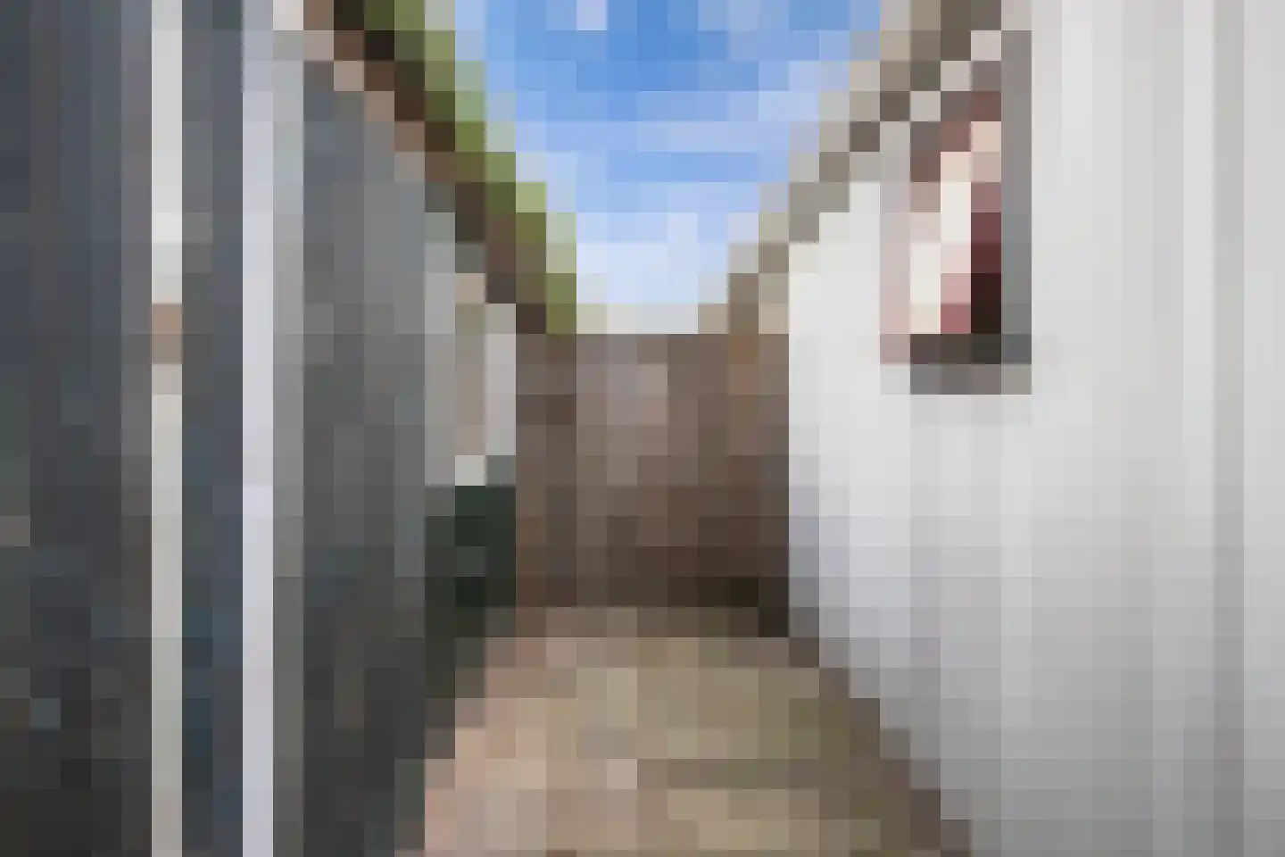 De Vriehof 6 Rohel thumbnail 35
