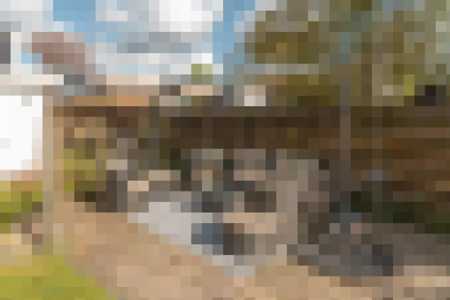 De Vriehof 77 Rohel thumbnail 27