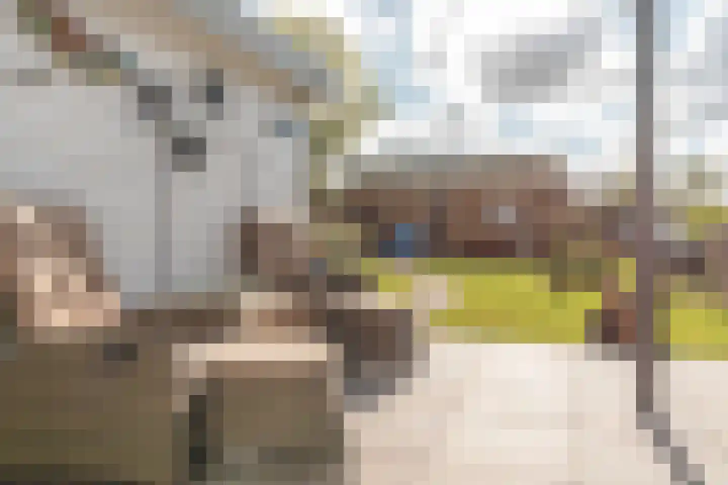 De Vriehof 77 Rohel thumbnail 29