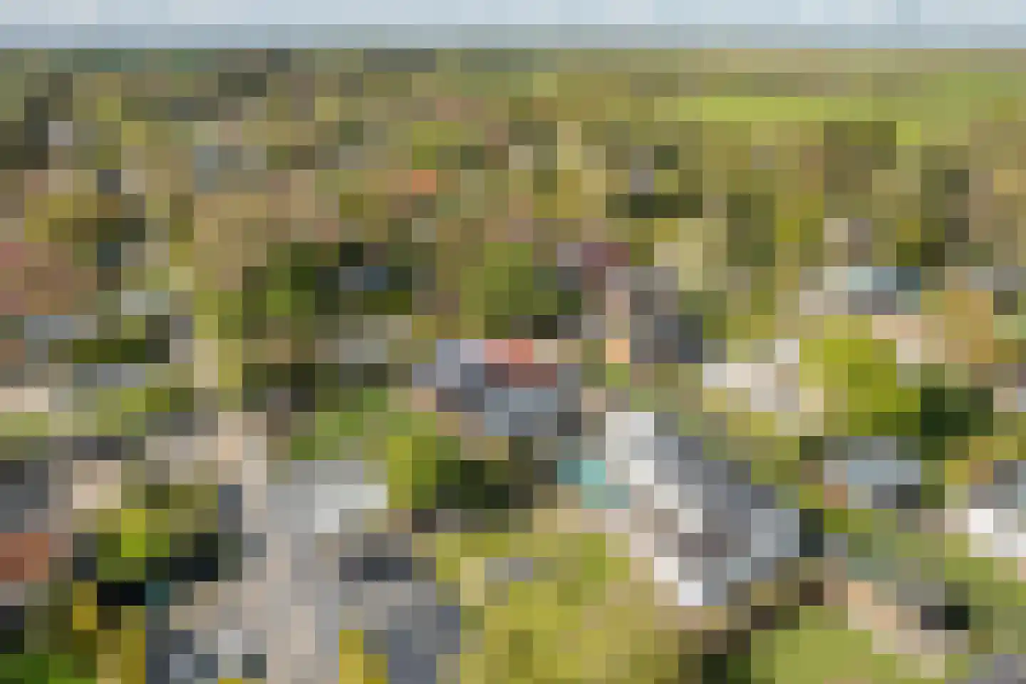 De Vriehof 77 Rohel thumbnail 32