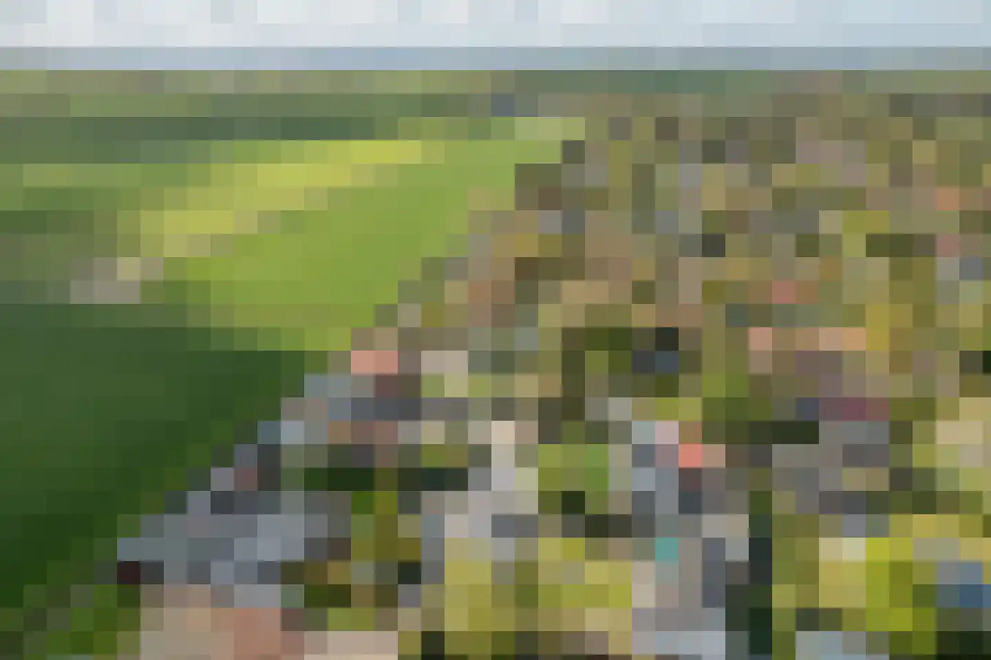 De Vriehof 77 Rohel thumbnail 33