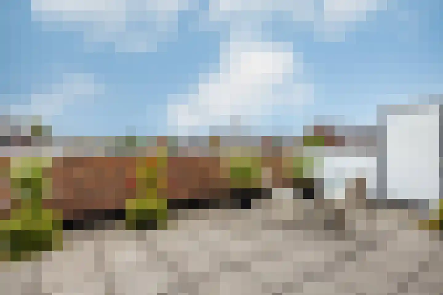 De Vriendschap 1 D Nibbixwoud thumbnail 25