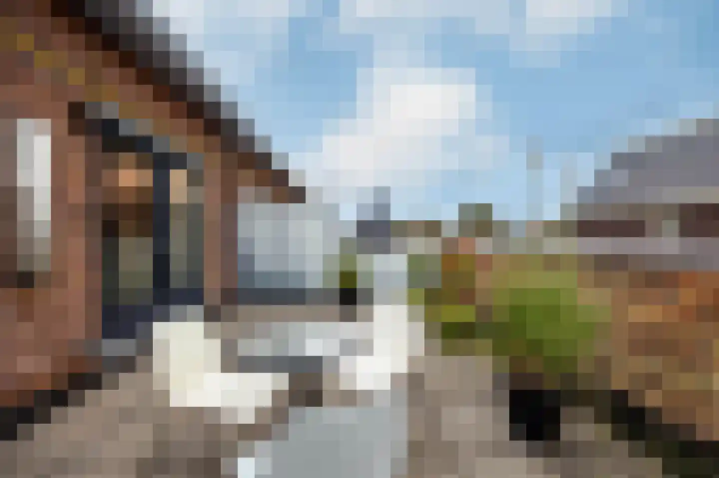 De Vriendschap 1 D Nibbixwoud thumbnail 26