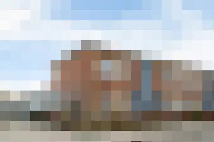 De Vriendschap 1 P Nibbixwoud