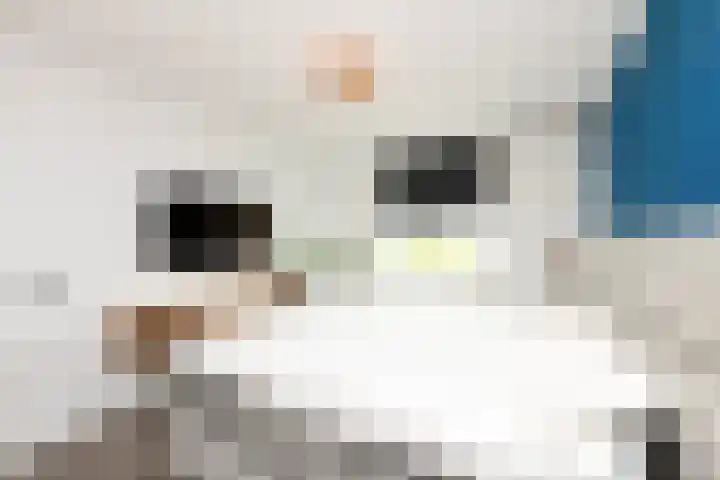 De Vriendschap 10 Zeewolde thumbnail 21