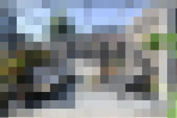 De Vriendschap 10 Zeewolde thumbnail 35