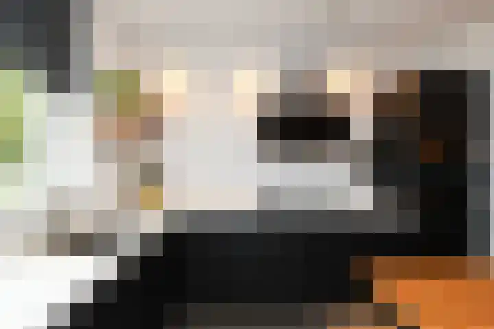 De Vriendschap 10 Zeewolde thumbnail 7