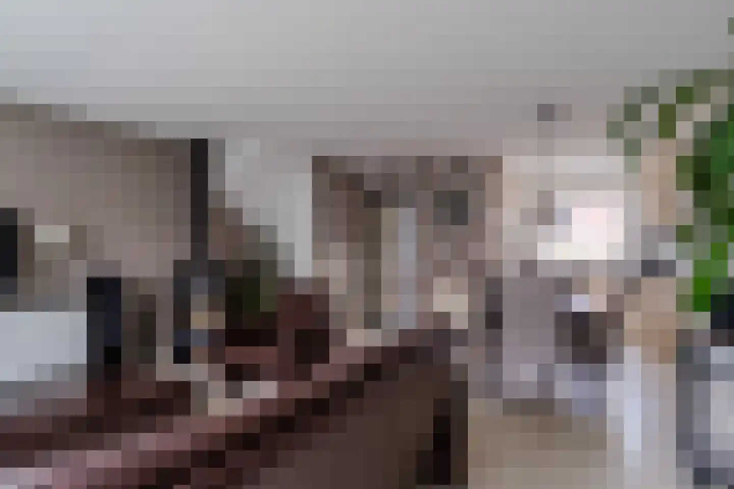 De Vriendschap 21 Amstelveen thumbnail 12