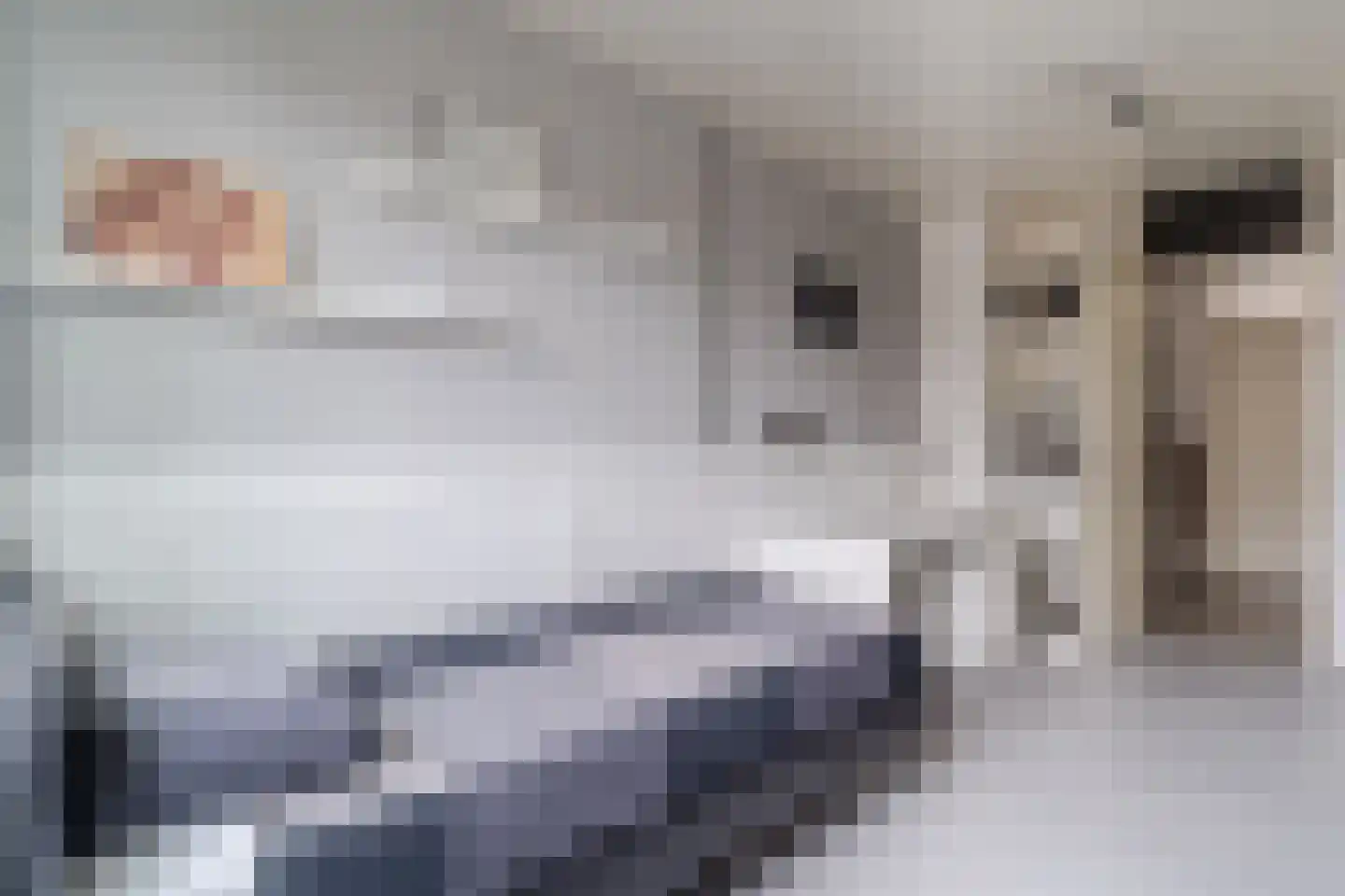De Vriendschap 21 Amstelveen thumbnail 19