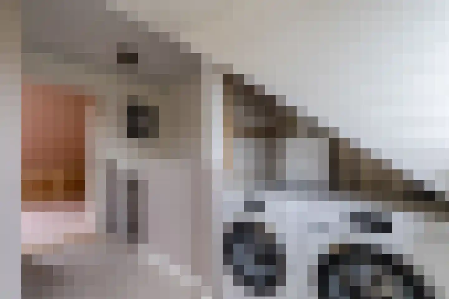 De Vriendschap 21 Amstelveen thumbnail 34