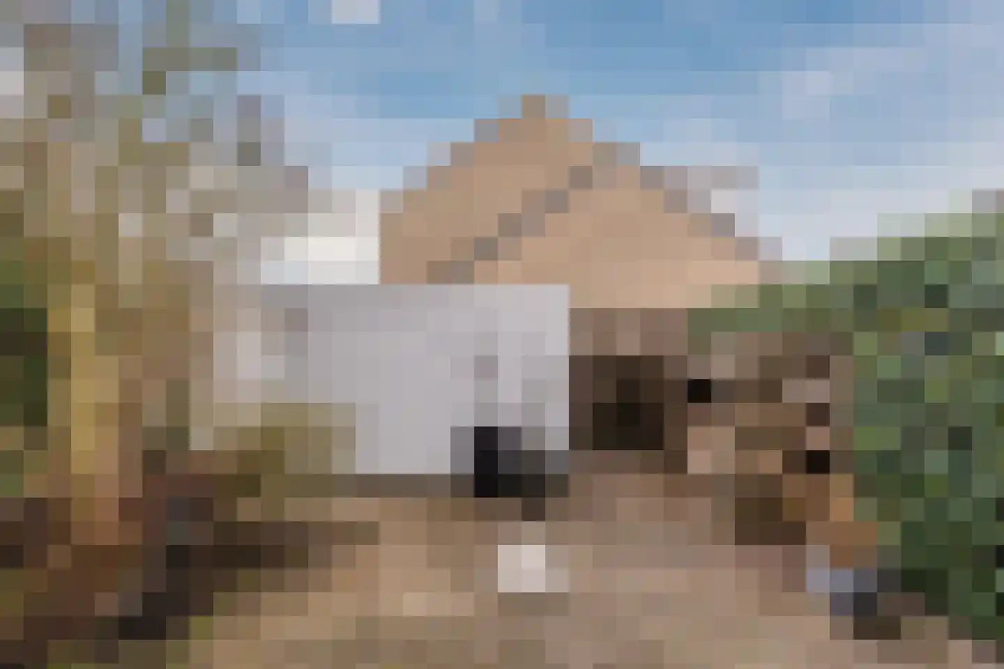 De Vriendschap 21 Amstelveen thumbnail 36