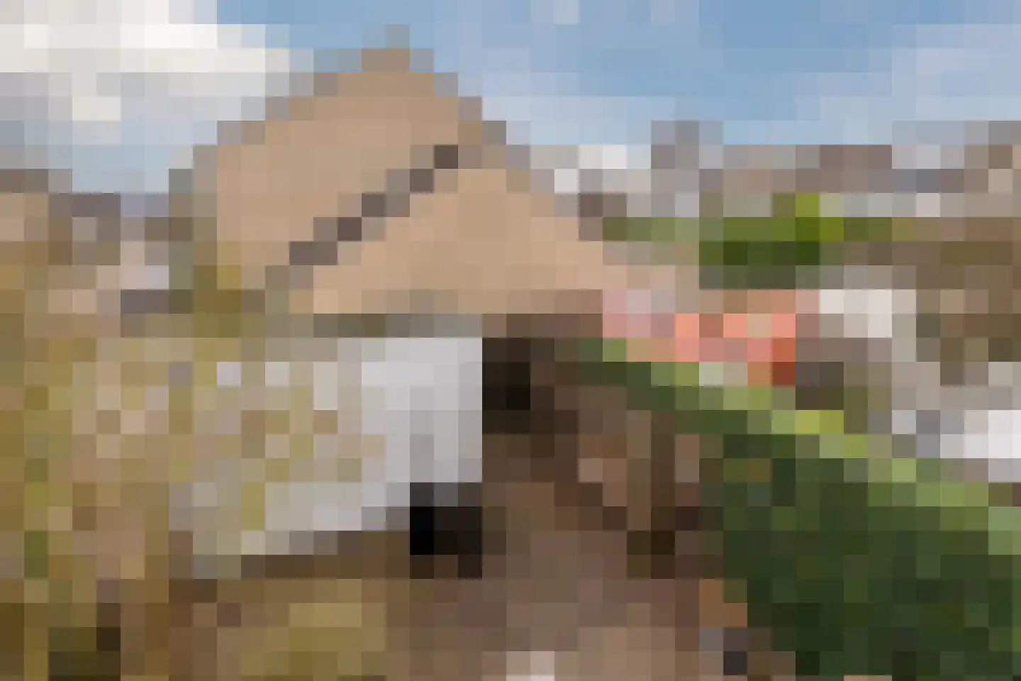 De Vriendschap 21 Amstelveen thumbnail 37