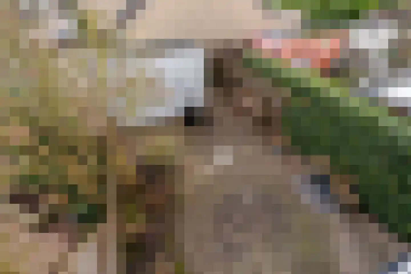 De Vriendschap 21 Amstelveen thumbnail 38