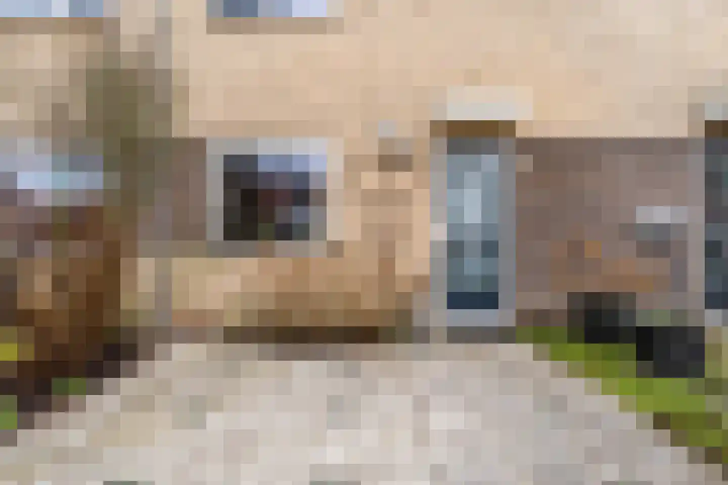 De Vriendschap 21 Amstelveen thumbnail 6