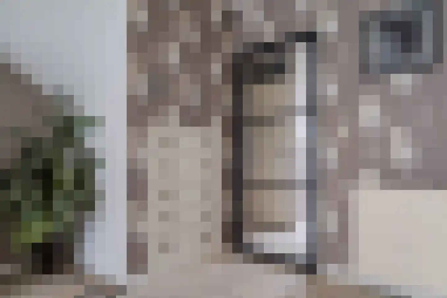 De Vriendschap 21 Amstelveen thumbnail 8