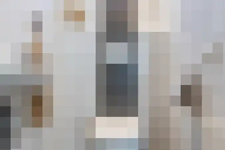 De Vriendschap 25 Amstelveen thumbnail 10