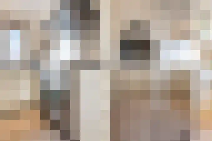 De Vriendschap 25 Amstelveen thumbnail 20