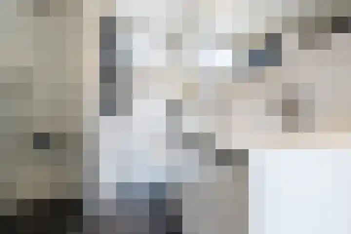 De Vriendschap 25 Amstelveen thumbnail 29