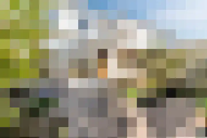 De Vriendschap 25 Amstelveen thumbnail 4