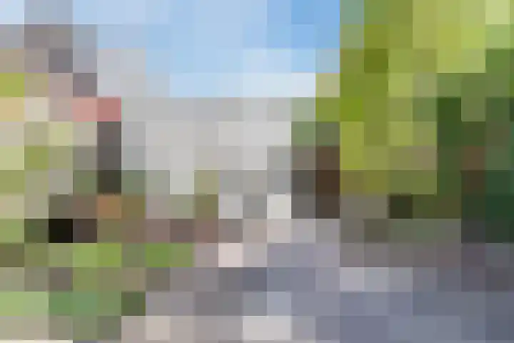 De Vriendschap 25 Amstelveen thumbnail 41