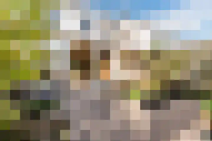 De Vriendschap 25 Amstelveen thumbnail 44