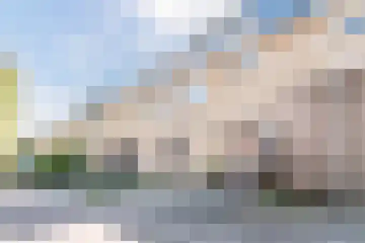 De Vriendschap 25 Amstelveen thumbnail 5