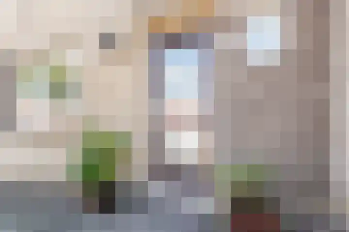 De Vriendschap 25 Amstelveen thumbnail 7