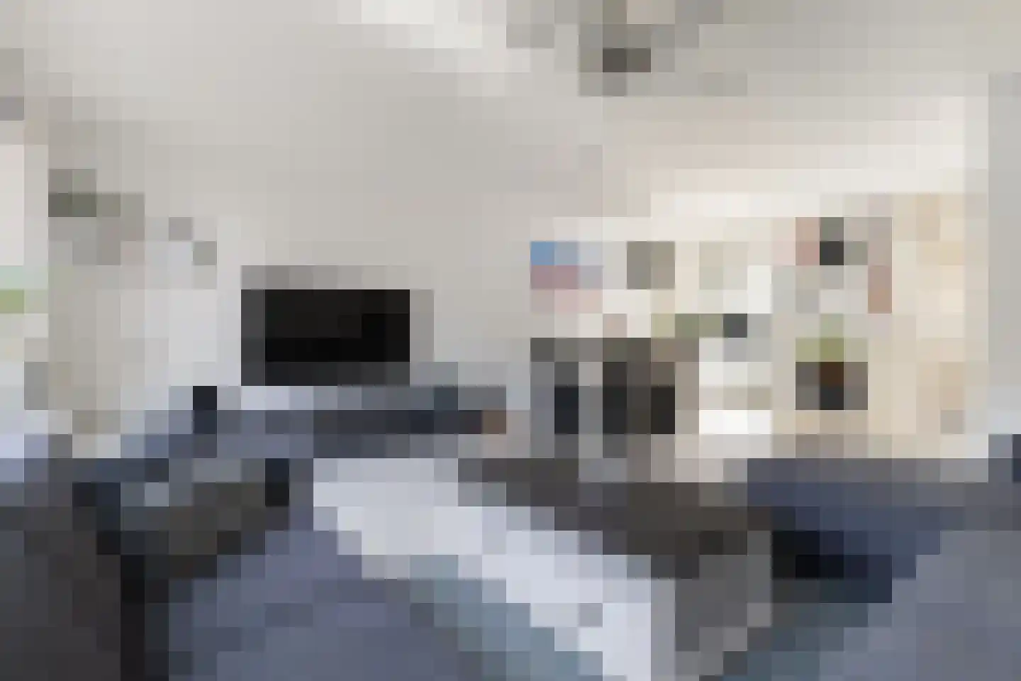 De Vriendschap 28 Amstelveen thumbnail 13