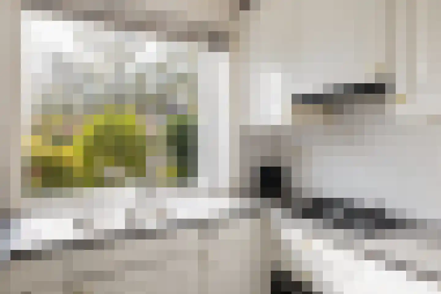 De Vriendschap 28 Amstelveen thumbnail 16