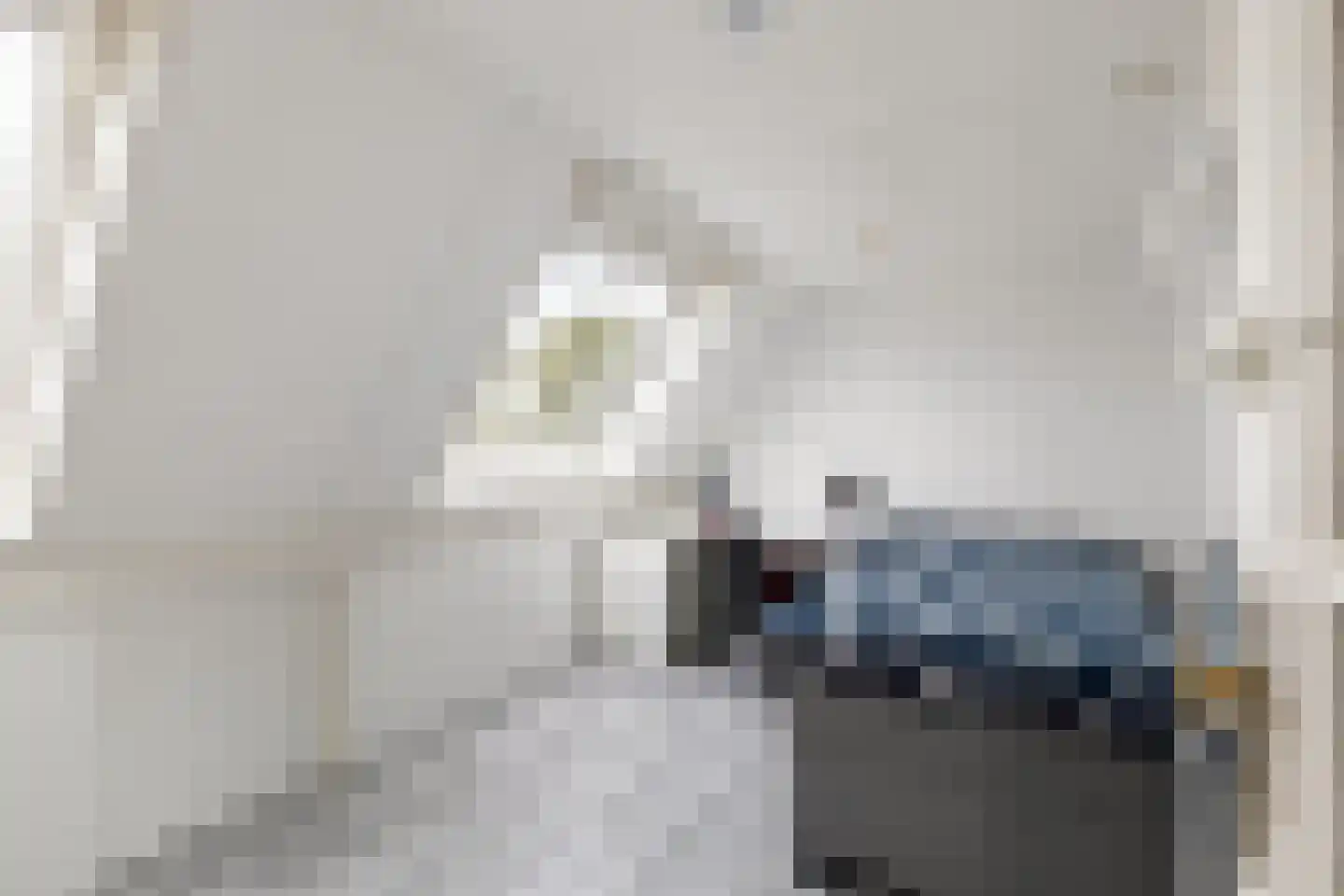 De Vriendschap 28 Amstelveen thumbnail 22