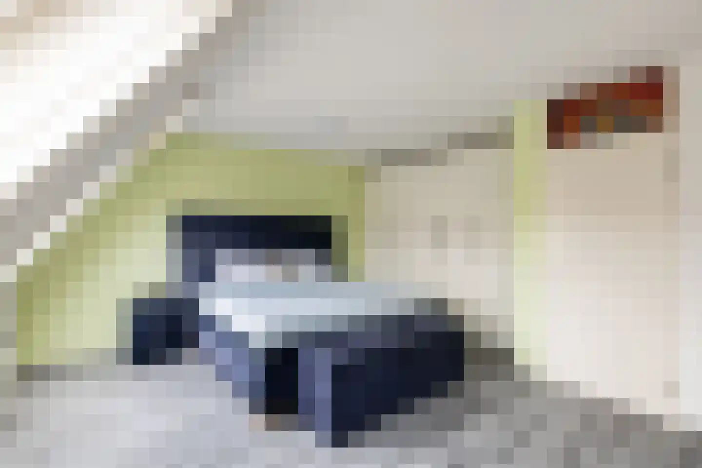 De Vriendschap 28 Amstelveen thumbnail 27
