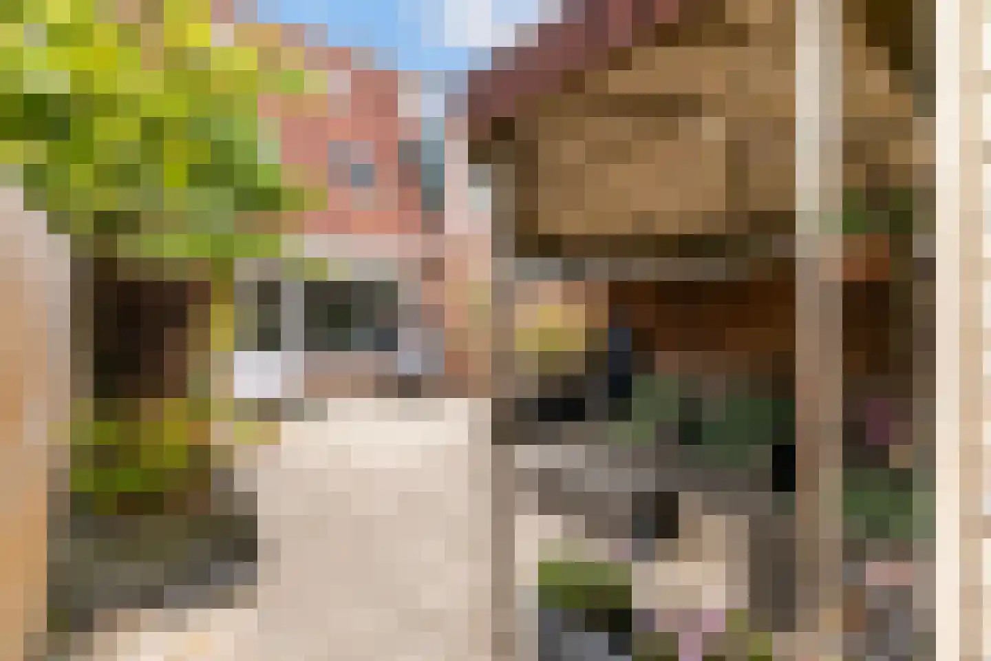 De Vriendschap 28 Amstelveen thumbnail 36