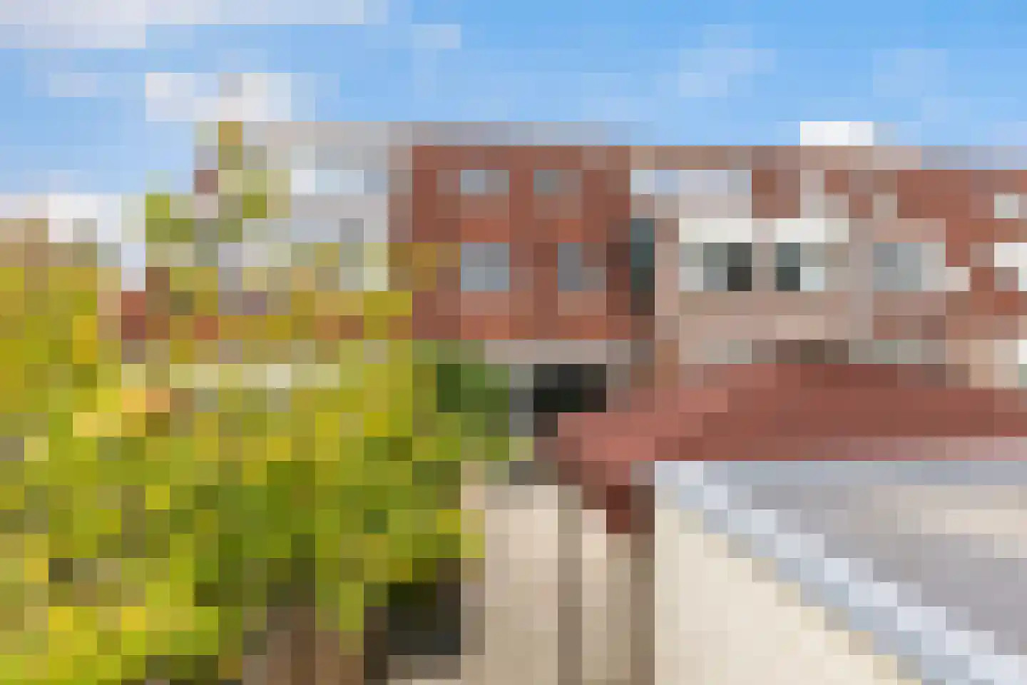 De Vriendschap 28 Amstelveen thumbnail 37