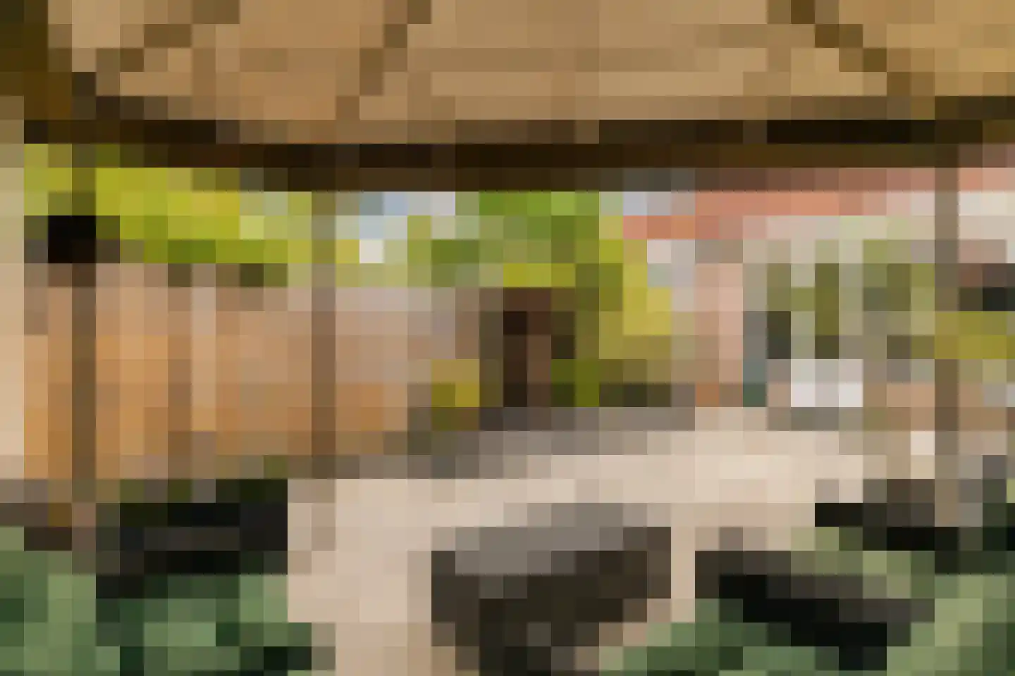 De Vriendschap 28 Amstelveen thumbnail 38