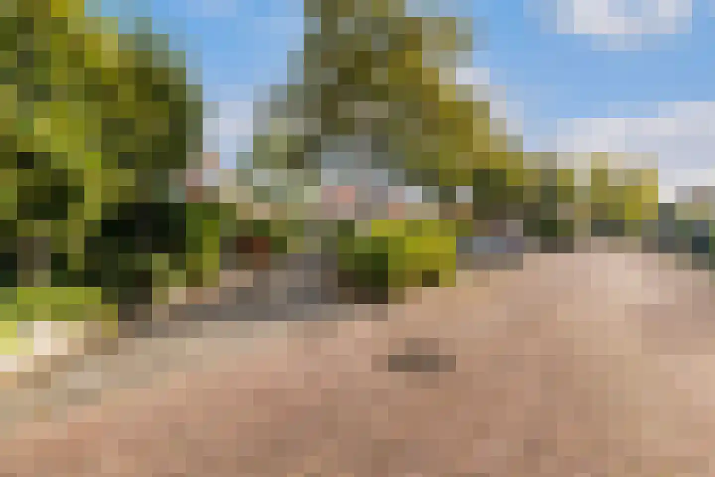 De Vriendschap 28 Amstelveen thumbnail 44