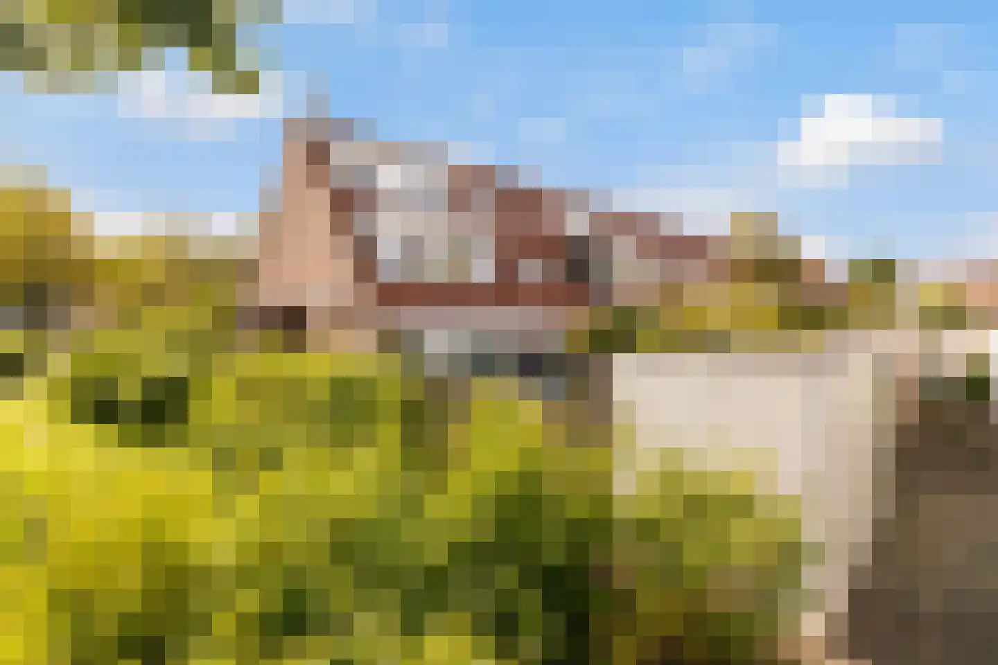 De Vriendschap 28 Amstelveen thumbnail 45