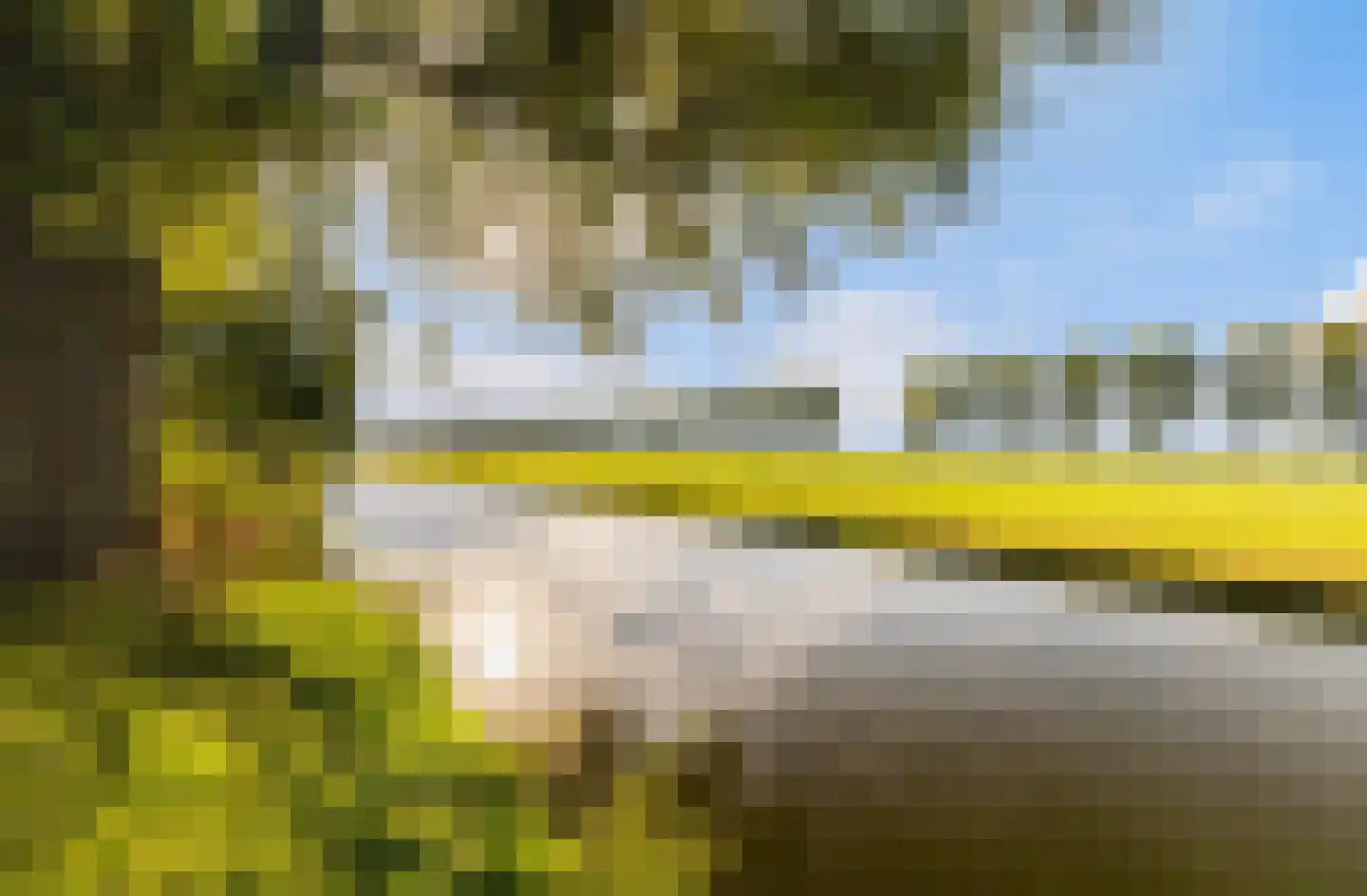 De Vriendschap 28 Amstelveen thumbnail 48