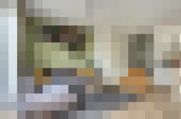 De Vriendschap 28 Zeewolde thumbnail 11