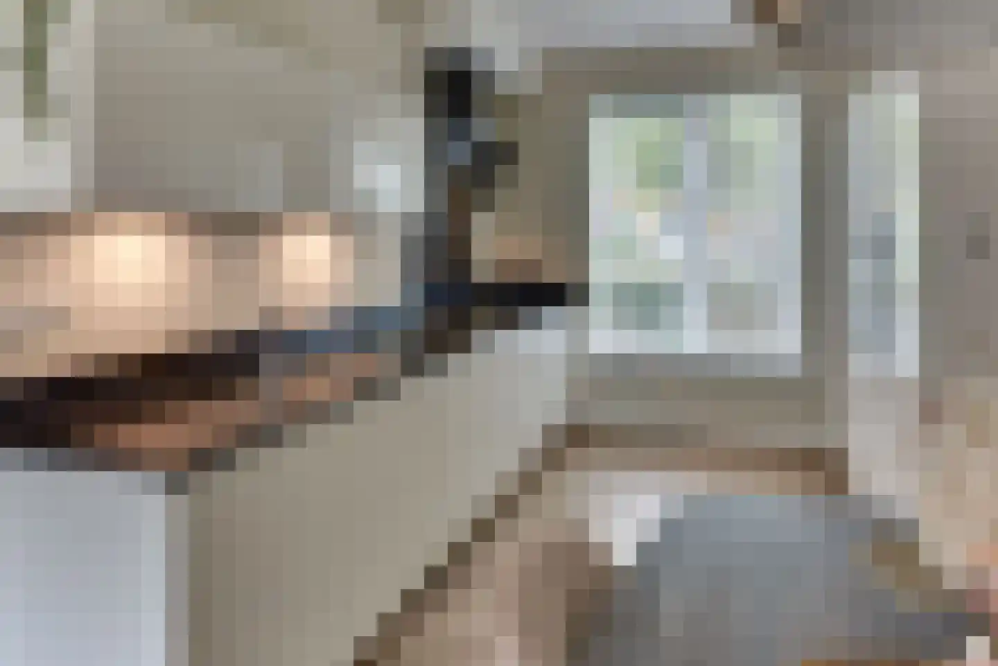 De Vriendschap 28 Zeewolde thumbnail 14