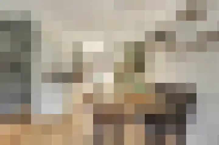 De Vriendschap 28 Zeewolde thumbnail 16