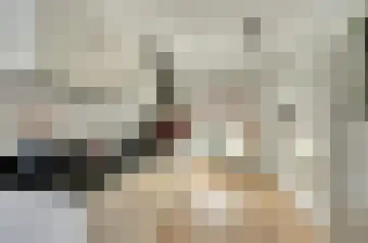 De Vriendschap 28 Zeewolde thumbnail 18