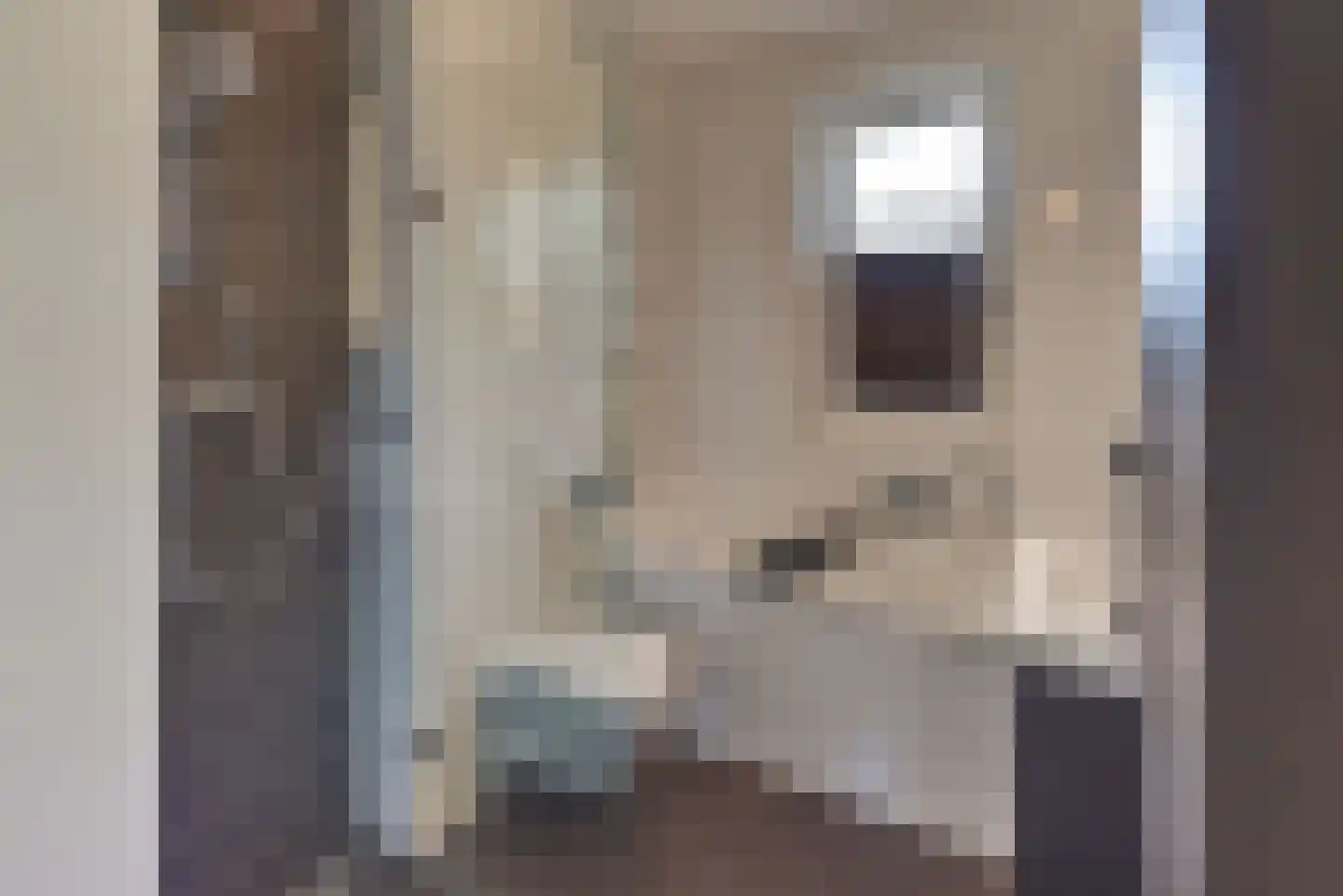 De Vriendschap 28 Zeewolde thumbnail 20
