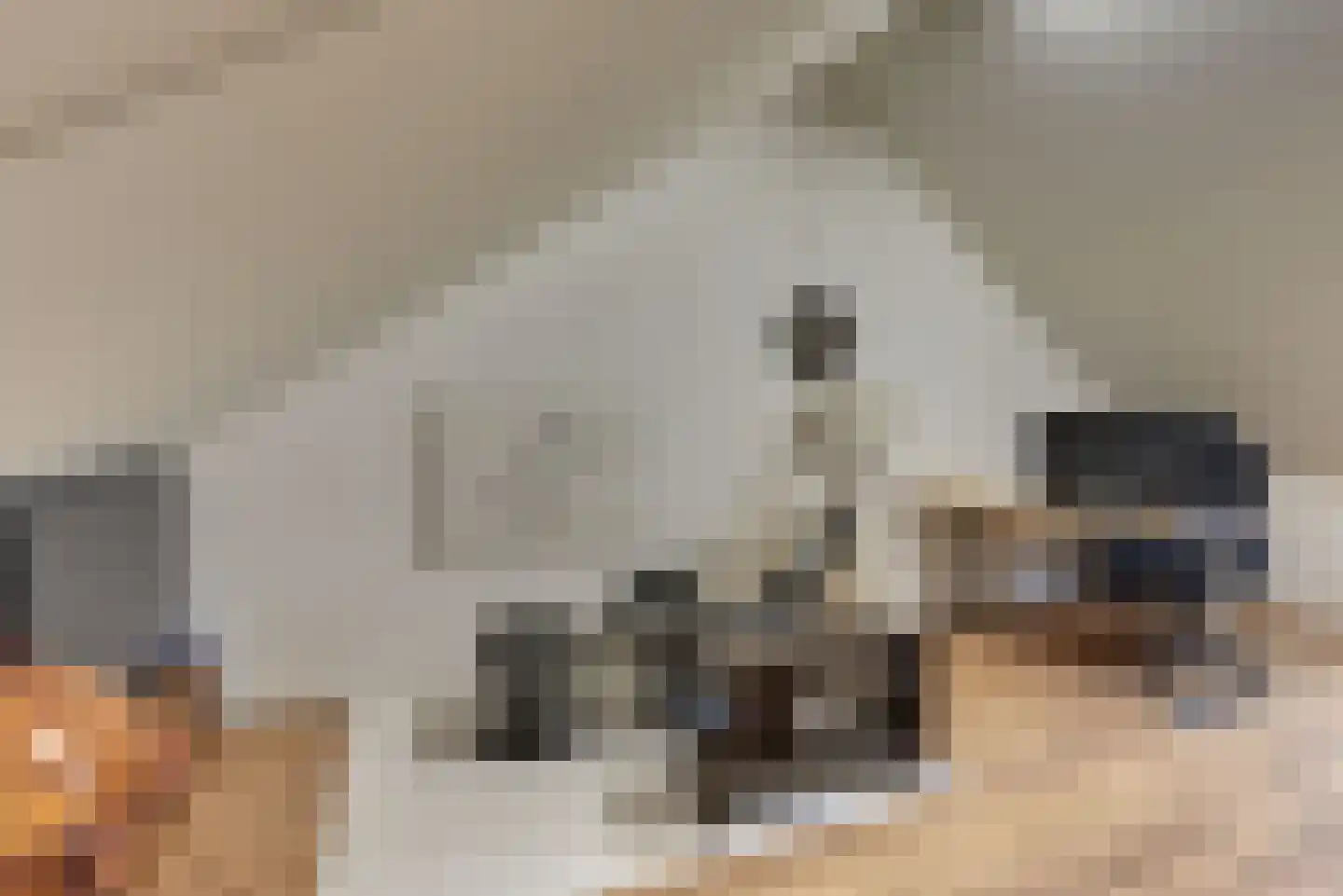 De Vriendschap 28 Zeewolde thumbnail 29