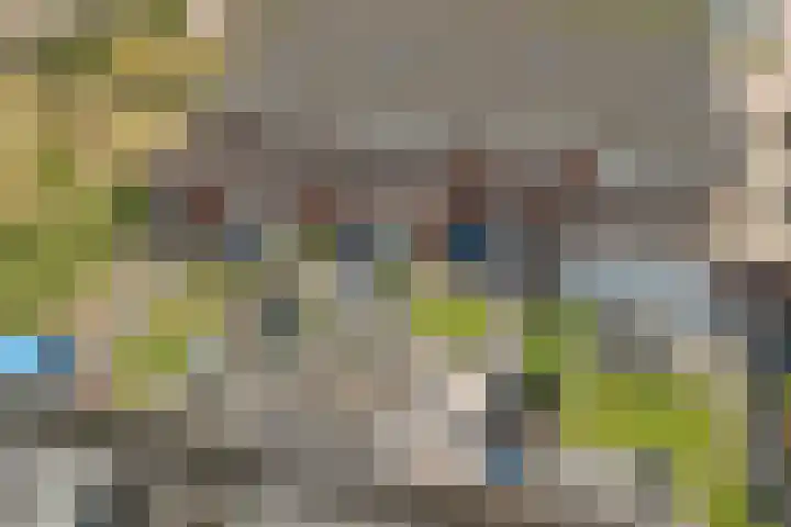 De Vriendschap 28 Zeewolde thumbnail 34