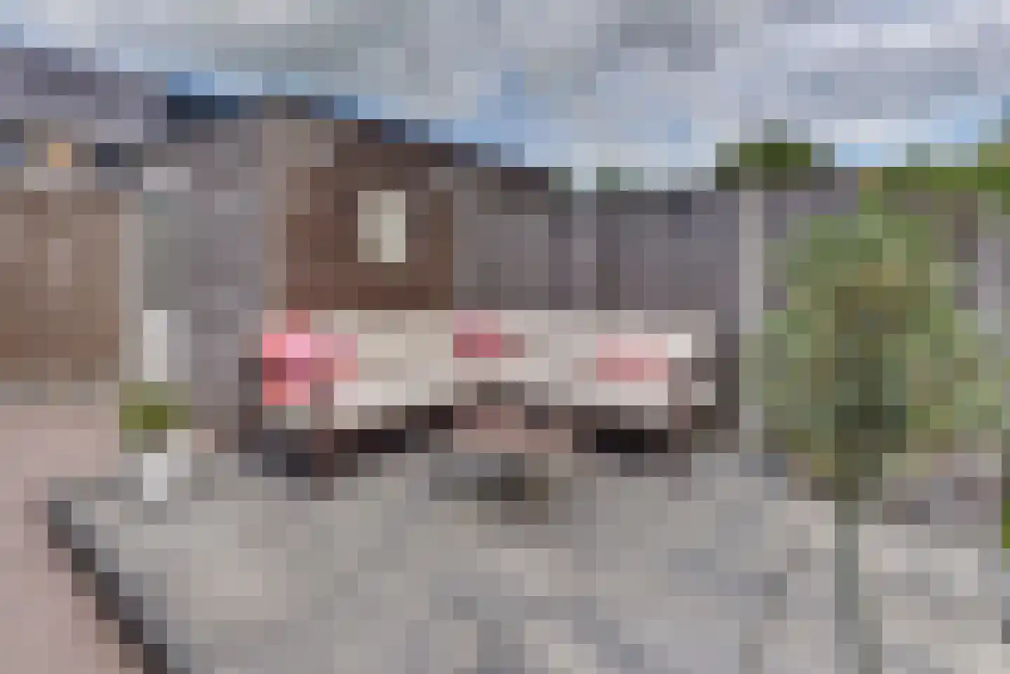 De Vriendschap 28 Zeewolde thumbnail 34
