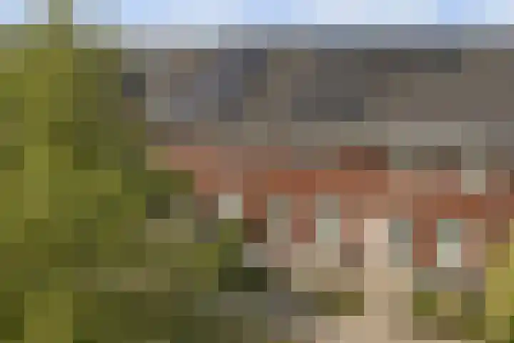 De Vriendschap 28 Zeewolde thumbnail 35