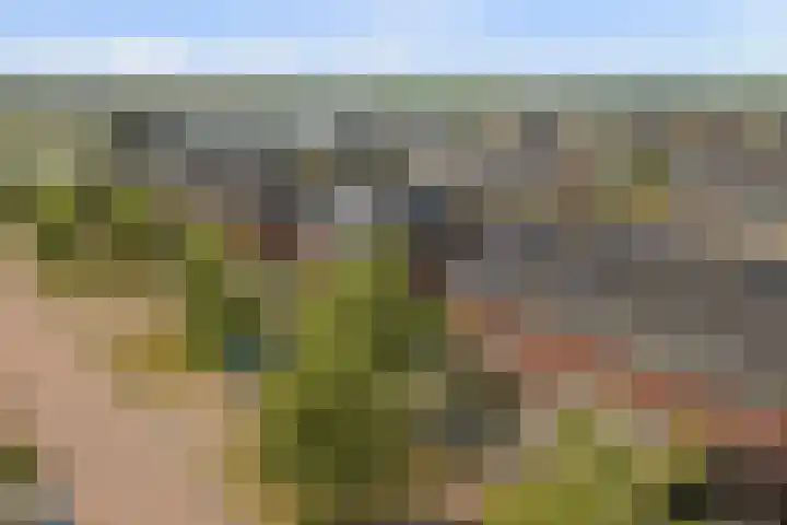 De Vriendschap 28 Zeewolde thumbnail 36