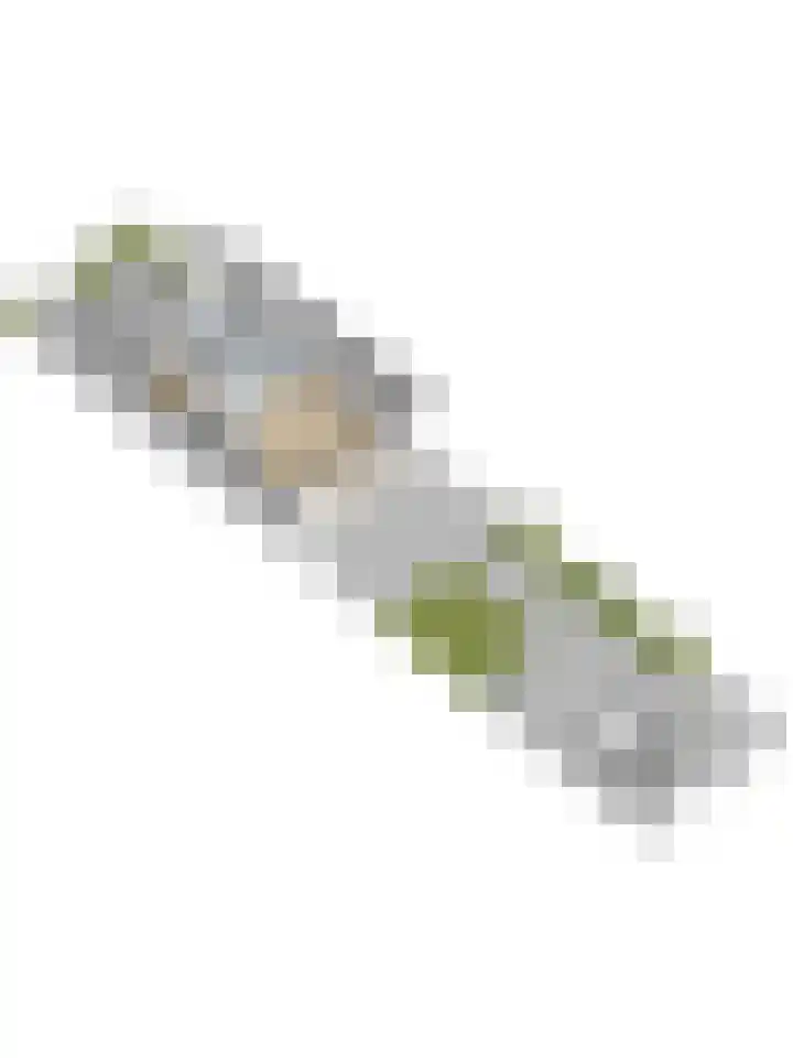 De Vriendschap 28 Zeewolde thumbnail 45